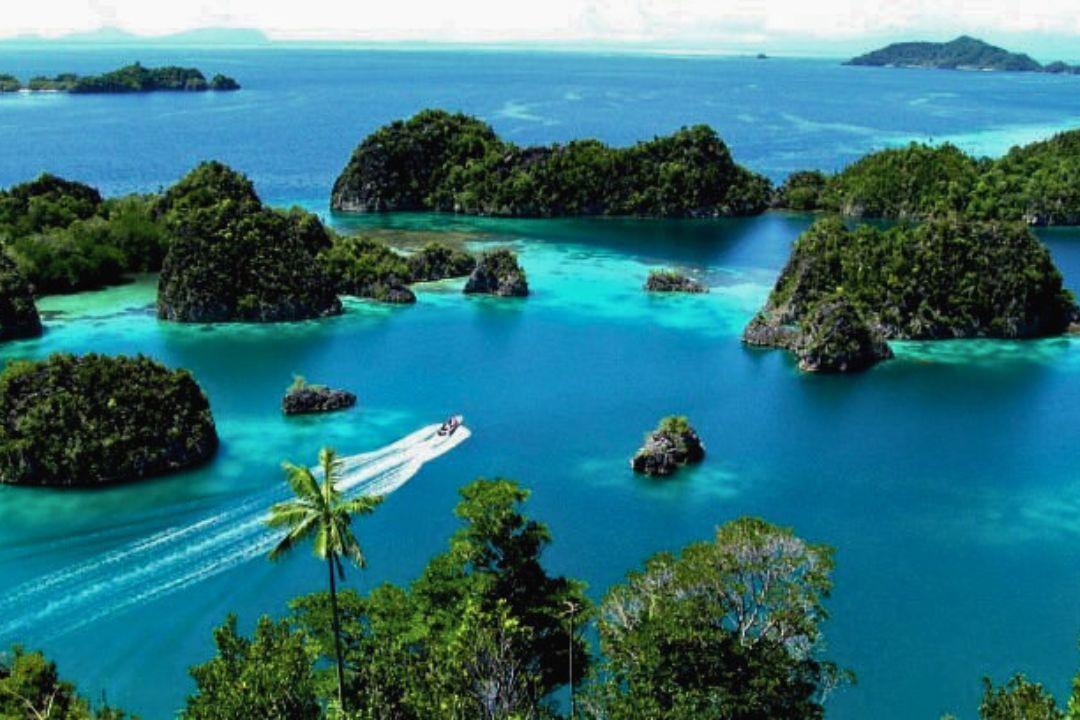 Mergulho na Indonésia Raja Ampat