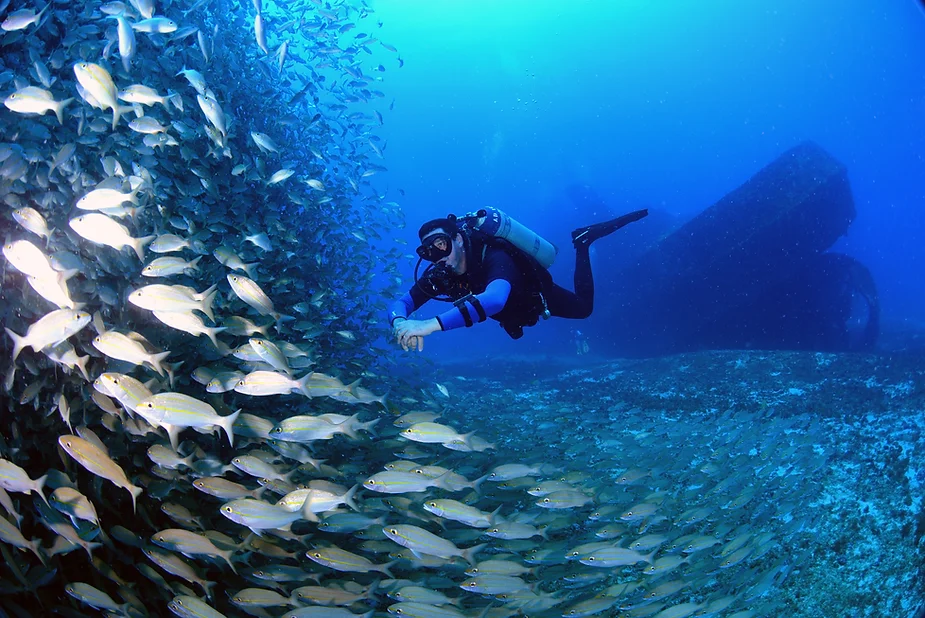 Naufrágios em Recife