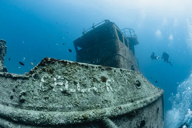Leia mais sobre o artigo Mergulho em Recife