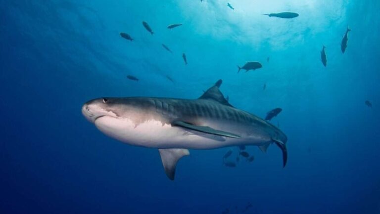 WhatsApp Image 2025-08-07 at 19.21.27 (2)